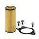 VERSNELLINGSBAK FILTER I-SHIFT MET 3 BOUTEN HENGST